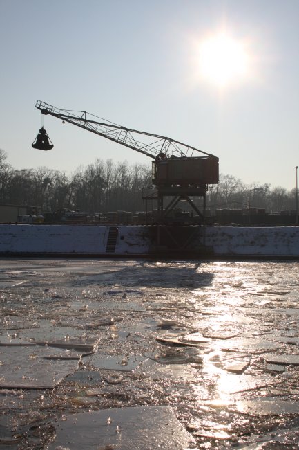 Winter 10.01.2009 017.jpg